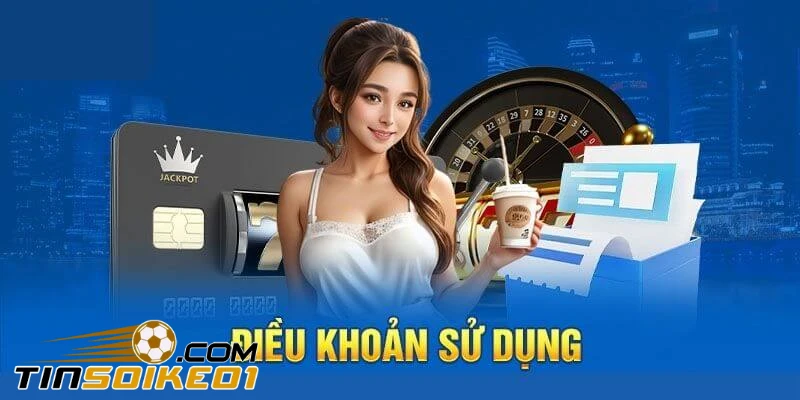 Điều khoản sử dụng của ampc.org.mx