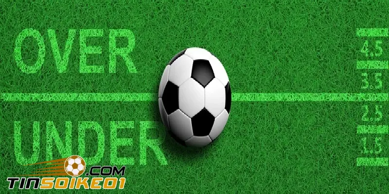 Kinh nghiệm đánh kèo tài xỉu 2-2.5